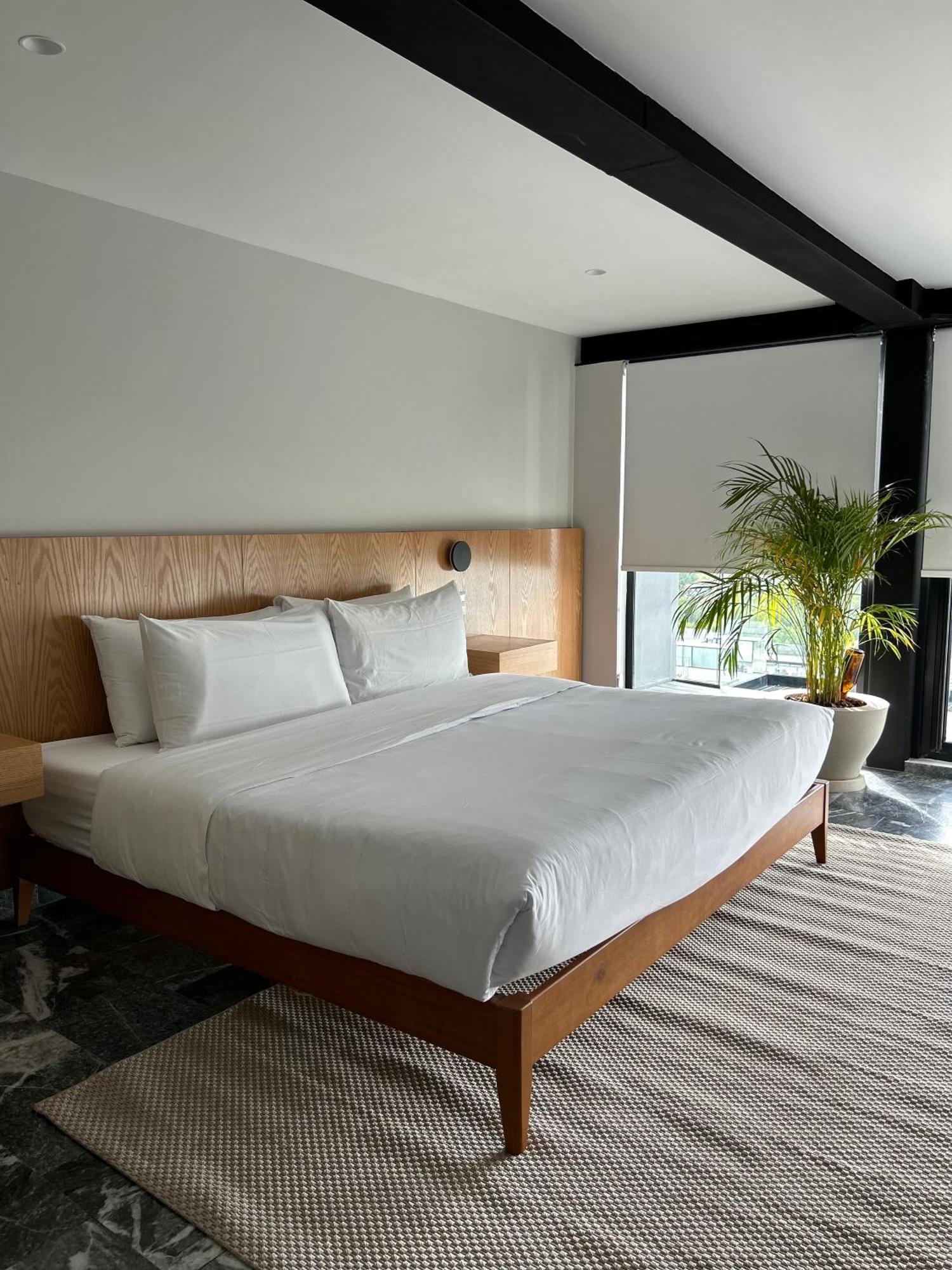 Arquimedes 138 By Wynwood House Aparthotel Mexico City Exterior photo